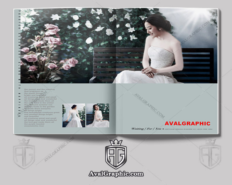 آلبوم ژورنالی و ماکت آلبوم